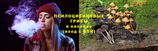 таблы Узловая