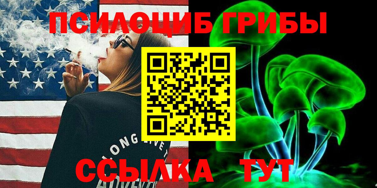 Псилоцибиновые грибы Cubensis Одинцово