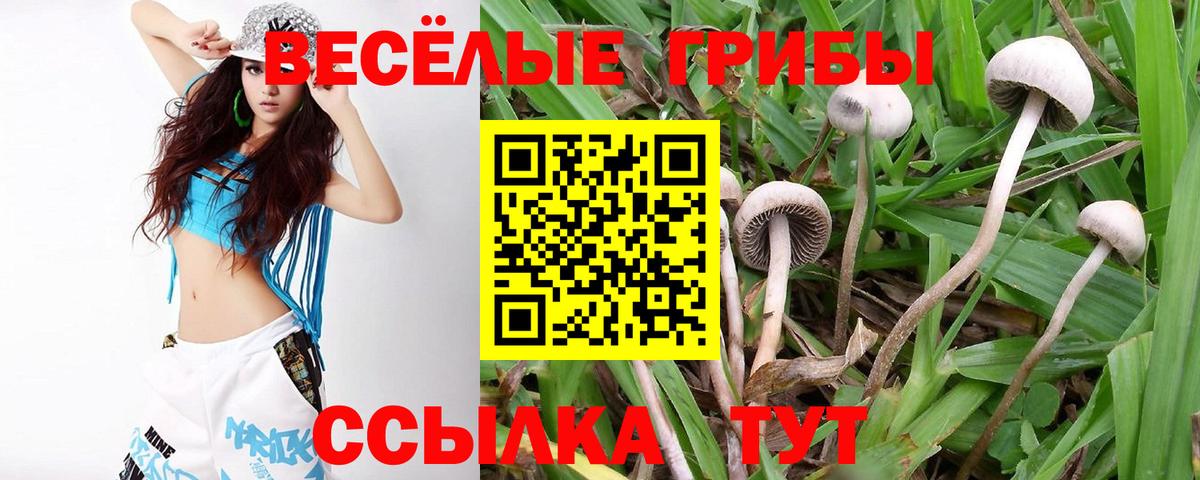 Одинцово  Галлюциногенные грибы MAGIC MUSHROOMS  купить   Вход с VPN 